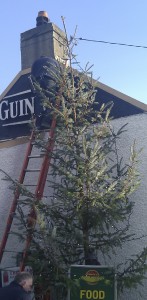 Xmas tree 2013 A